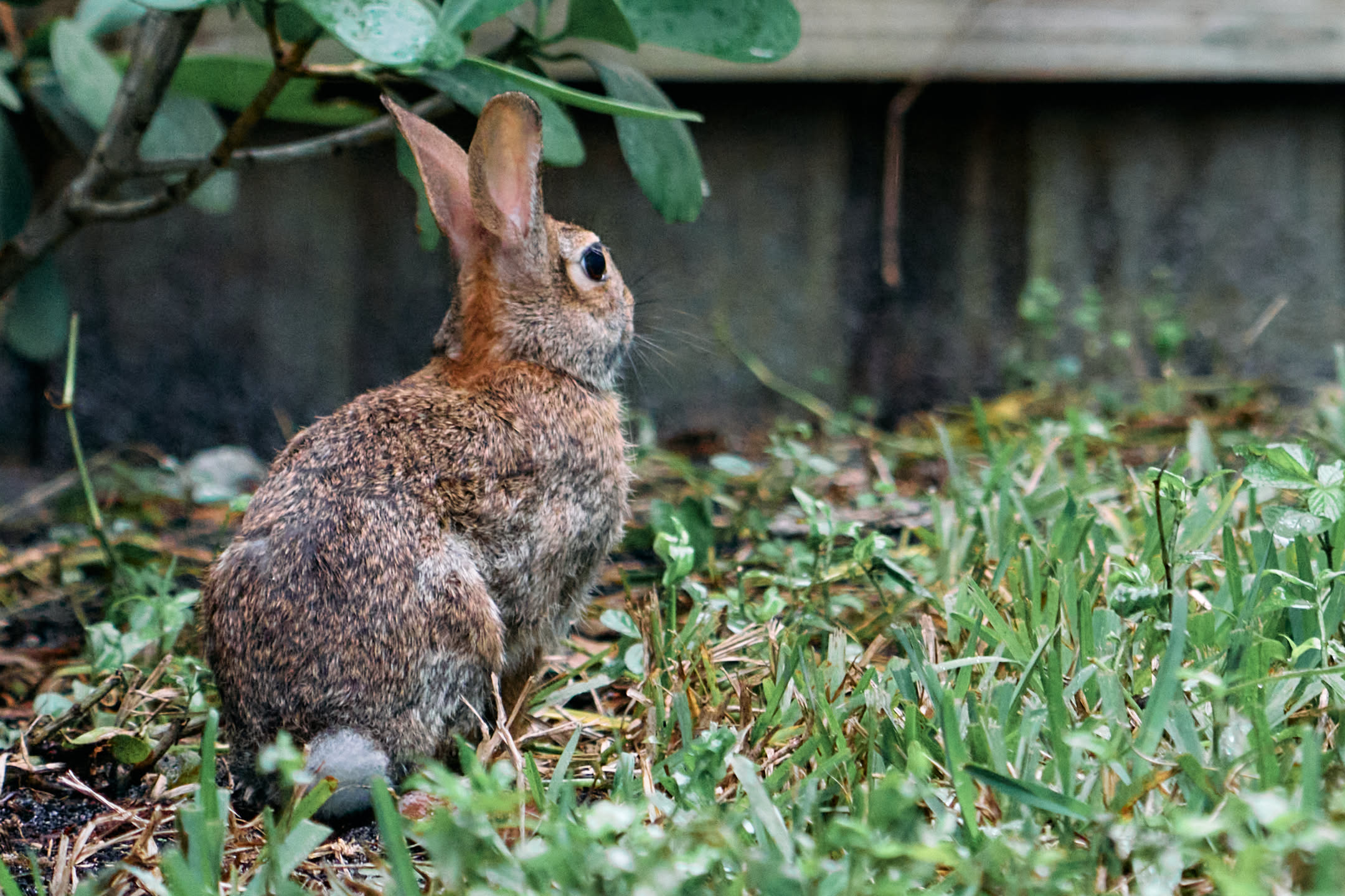 Pasted image 20251030214317.png